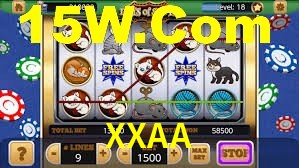 Premium Interface XXAA