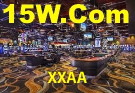 XXAA App Interface